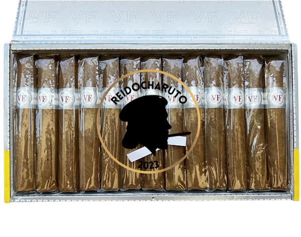 Charuto VEGAFINA Classic Robusto