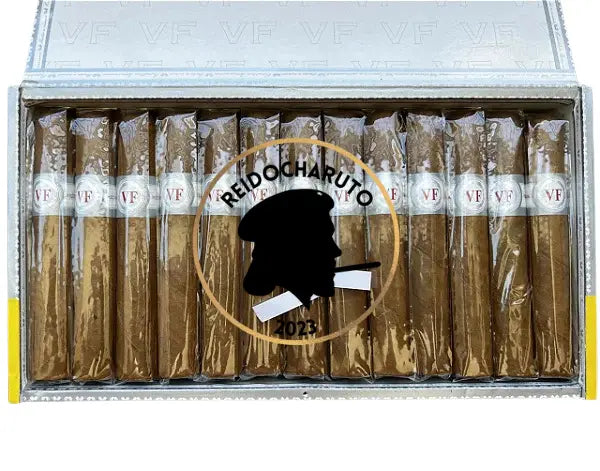 Charuto VEGAFINA Classic Robusto 